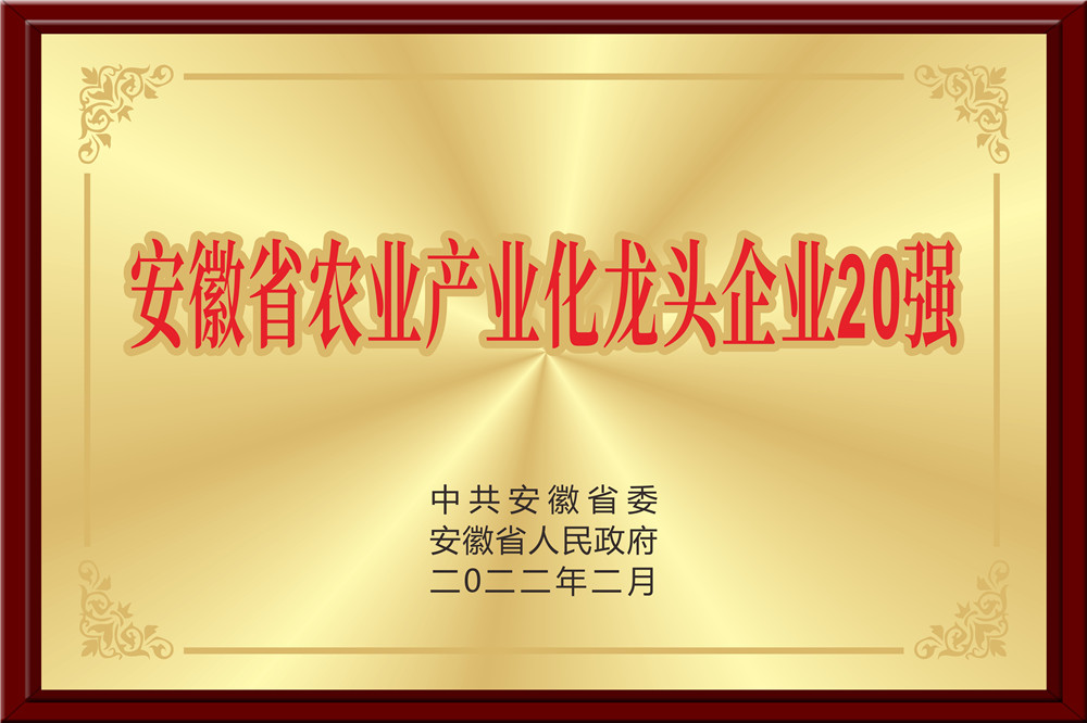 安徽省農(nóng)業(yè)產(chǎn)業(yè)化龍頭企業(yè)20強(qiáng)